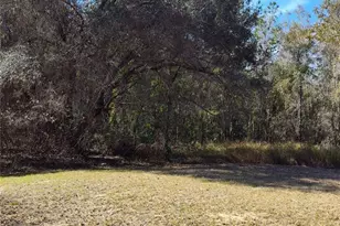 21215 SE 111 Ave, Hawthorne, FL 32640 - Photo 26