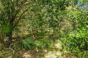 11123 SW 53rd Cir, Ocala, FL 34476 - Photo 58