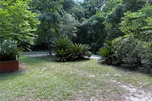 1830 SW Williston Rd, Gainesville, FL 32608 - Photo 6