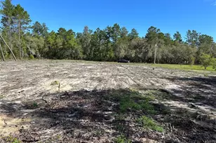 4298 SW 179 Pl, Ocala, FL 34473 - Photo 1