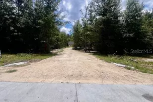 4899 NW 36th St, Bell, FL 32619 - Photo 24