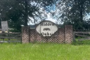 4899 NW 36th St, Bell, FL 32619 - Photo 4