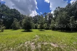 4899 NW 36th St, Bell, FL 32619 - Photo 20