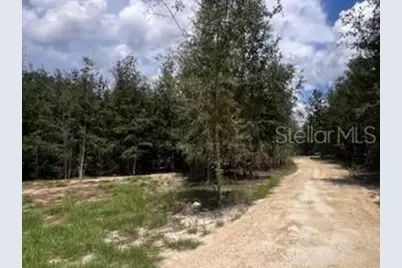 4899 NW 36th Street, Bell, FL 32619 - Photo 14