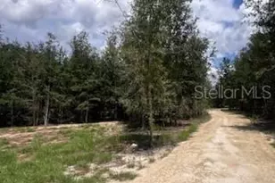 4899 NW 36th St, Bell, FL 32619 - Photo 14