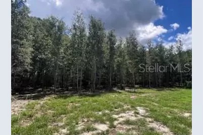 4899 NW 36th Street, Bell, FL 32619 - Photo 22