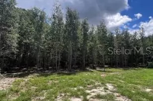 4899 NW 36th St, Bell, FL 32619 - Photo 22