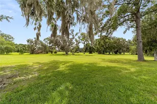 12909 NW 11th Pl, Newberry, FL 32669 - Photo 22