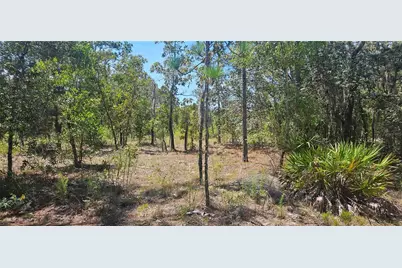 0 NE 67th Ln, Bronson, FL 32621 - Photo 2