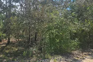 0 NE 67th Ln, Bronson, FL 32621 - Photo 1