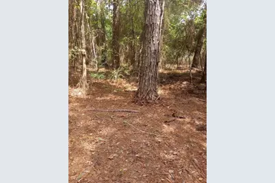 23216 NE 35th Avenue, Melrose, FL 32666 - Photo 26