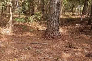 23216 NE 35 Ave, Melrose, FL 32666 - Photo 26