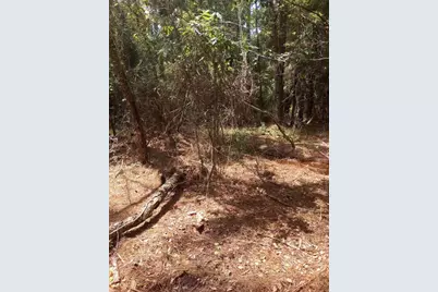 23216 NE 35th Avenue, Melrose, FL 32666 - Photo 28