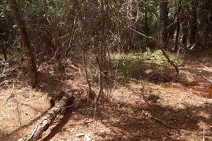 23216 NE 35 Ave, Melrose, FL 32666 - Photo 28