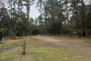 23216 NE 35 Ave, Melrose, FL 32666 - Photo 12