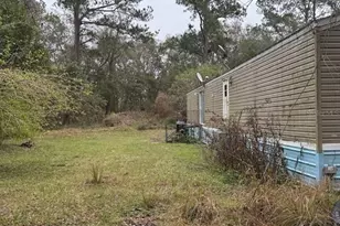 23216 NE 35 Ave, Melrose, FL 32666 - Photo 4