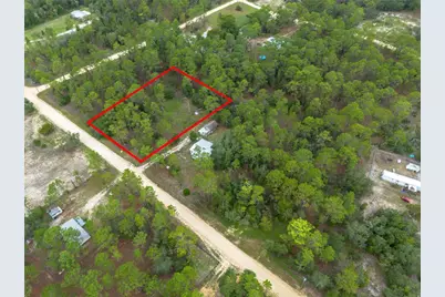 Tbd SE 150th Avenue, Morriston, FL 32668 - Photo 1