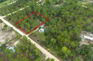 Tbd SE 150th Ave, Morriston, FL 32668 - Photo 1