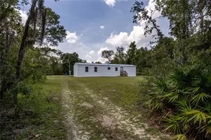 11910 NE 103rd Terrace, Archer, FL 32618 - Photo 2