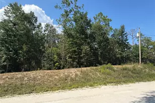 Lot 43 SW Kentucky St, Fort White, FL 32038 - Photo 1