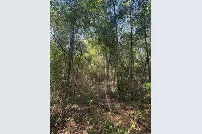 Lot 43 SW Kentucky Street, Fort White, FL 32038 - Photo 4