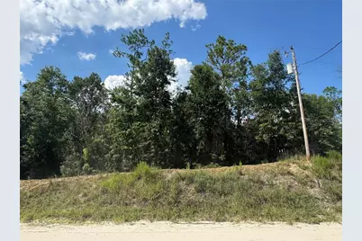 Lot 43 SW Kentucky Street, Fort White, FL 32038 - Photo 2