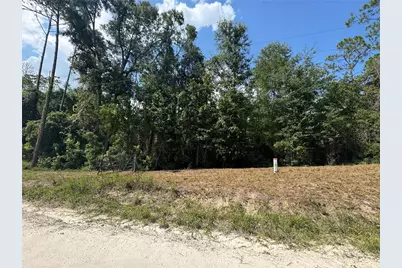 Lot 44 SW Kentucky Street, Fort White, FL 32038 - Photo 6