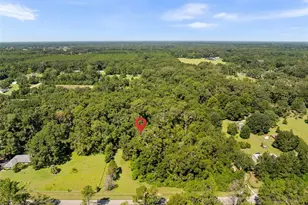 12212 NW 194th Terrace, Alachua, FL 32615 - Photo 34