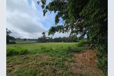 4901 NW 152nd Lane, Reddick, FL 32686 - Photo 6