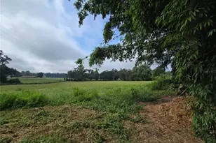 4901 NW 152nd Ln, Reddick, FL 32686 - Photo 6