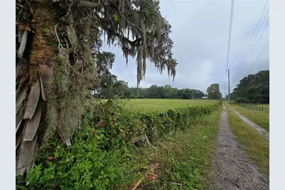 4901 NW 152nd Lane, Reddick, FL 32686 - Photo 2