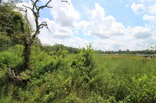 205 Susan St, Interlachen, FL 32148 - Photo 8