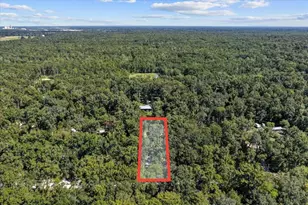 4135 290th Terrace, Branford, FL 32008 - Photo 50