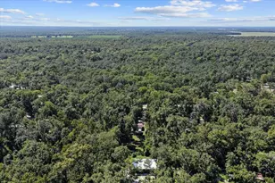 4135 290th Terrace, Branford, FL 32008 - Photo 56