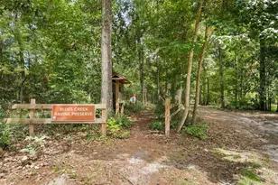 6916 NW 67th Ave, Gainesville, FL 32653 - Photo 50