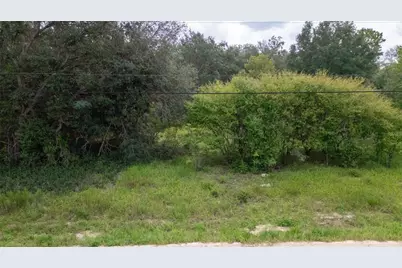 7697 Colorado Avenue, Keystone Heights, FL 32656 - Photo 8