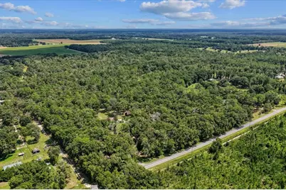 4700 NW 55th Avenue, Bell, FL 32619 - Photo 30