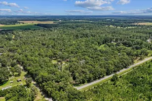 4700 NW 55th Ave, Bell, FL 32619 - Photo 30