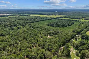 4700 NW 55th Ave, Bell, FL 32619 - Photo 32