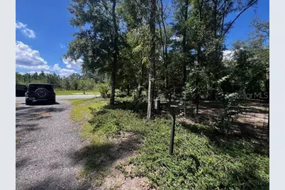 4700 NW 55th Avenue, Bell, FL 32619 - Photo 76