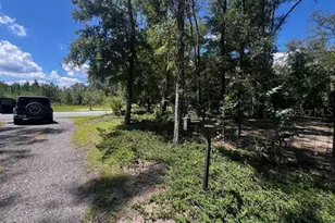 4700 NW 55th Ave, Bell, FL 32619 - Photo 76