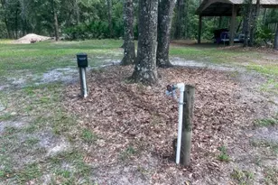 4700 NW 55th Ave, Bell, FL 32619 - Photo 52