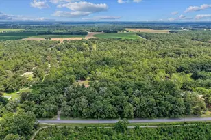 4700 NW 55th Ave, Bell, FL 32619 - Photo 28