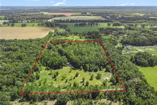 3749 SW 22nd Pl, Bell, FL 32619 - Photo 6