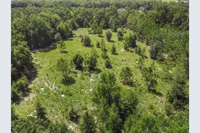 3749 SW 22nd Place, Bell, FL 32619 - Photo 8