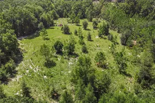 3749 SW 22nd Pl, Bell, FL 32619 - Photo 8