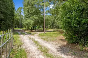 3749 SW 22nd Pl, Bell, FL 32619 - Photo 38