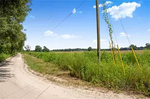 3749 SW 22nd Pl, Bell, FL 32619 - Photo 40