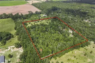 3749 SW 22nd Pl, Bell, FL 32619 - Photo 4