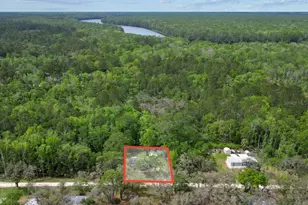 4356 NW 152 Ct, Chiefland, FL 32626 - Photo 38